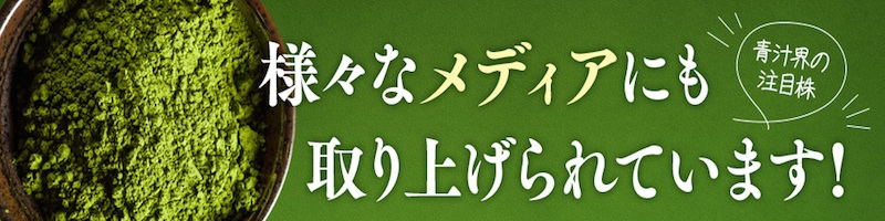 ̐`TCg
